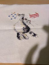 Cat Hanging From Washing Line