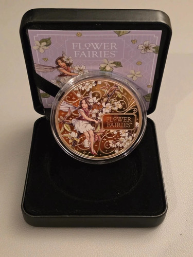 Flower fairies the wild cherry - the,