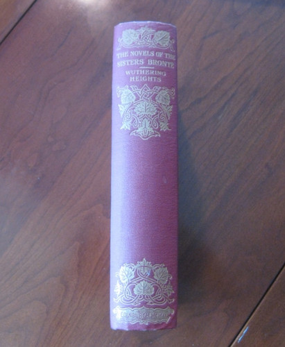 Wuthering heights emily - by,