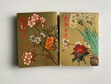 The Young Flying Fox  novel