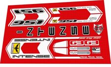 Intense 951 Fro White Frame