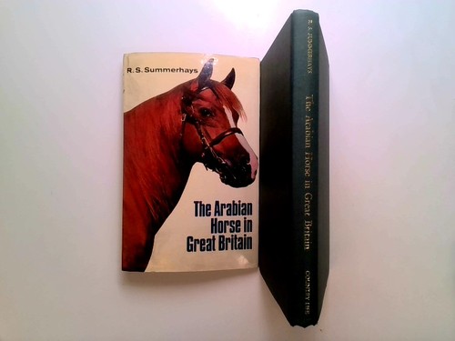 The arabian horse - the, in