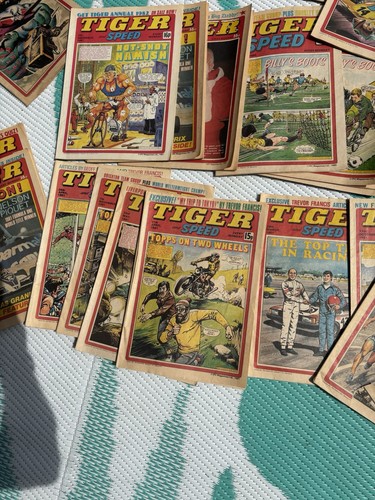 Tiger and speed comics - 24,