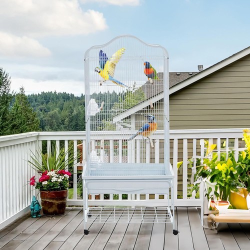 Large parrot bird cage budgie - parrot,