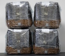 MycoHaus 4 Pack All in One 5