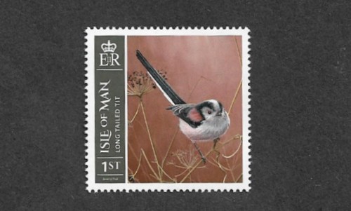 Birds long tailed tit nature - birds,