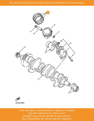 Yamaha piston ring set - ring,