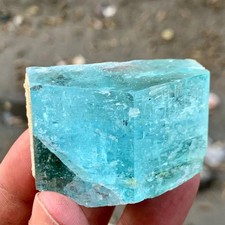 538 CT Top Quality Terminated