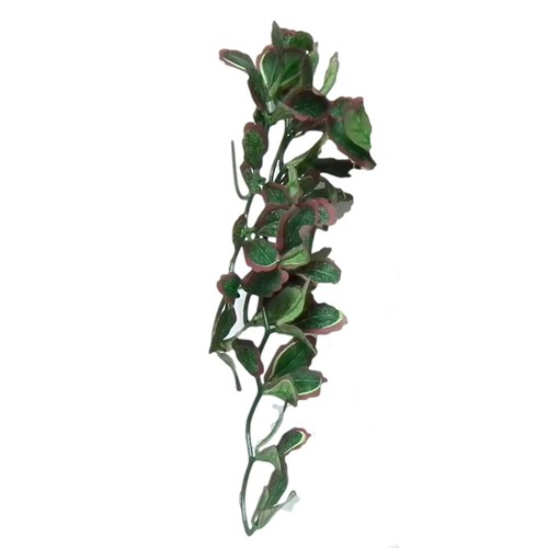 Reptile vivarium jungle silk - vivarium,