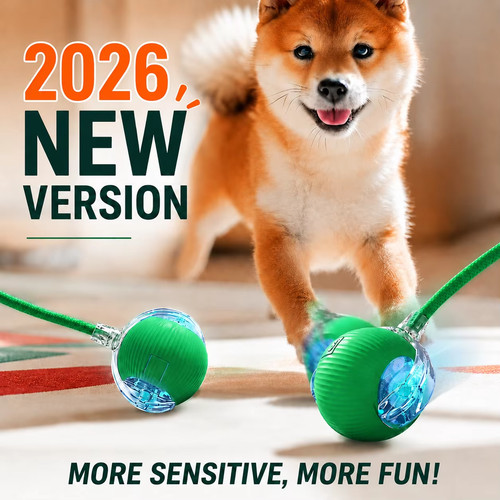 Automatic rolling dog cat - automatic, ball