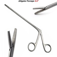 Alligator Ear Crocodile