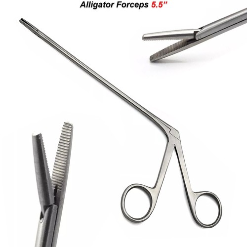 Alligator ear crocodile - alligator,