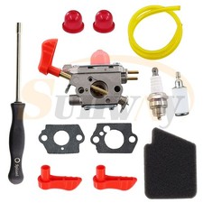 Carburetor Air Filter Kit for