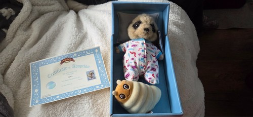 Baby oleg meerkat - baby, box