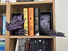 2 Tone Purple/Black Emerging