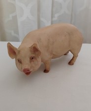 Aynsley Pig Figurine The Boar