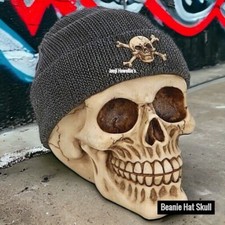 Skull With Beanie Hat Ornament Gothic Sculpture Crossbones Pagan Wiccan Fantasy