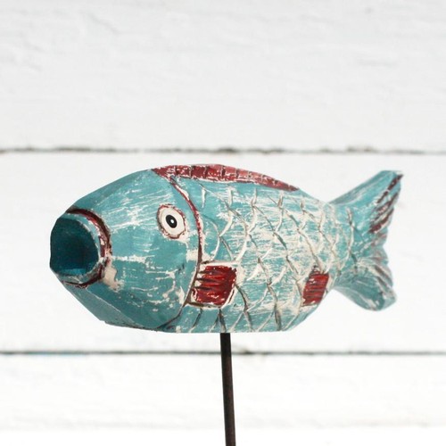 Turquoise african fish - turquoise,