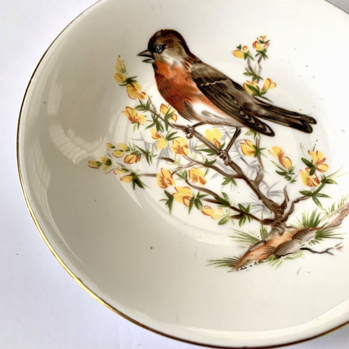 Royal kendal bird - royal,