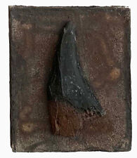TYRANNOSAURUS REX dinosaur tooth replica T rex SP5