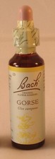 Bach Flower Remedies, Gorse
