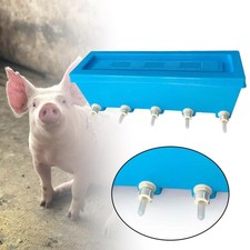Lamb Feed Bottle Sheep Milk