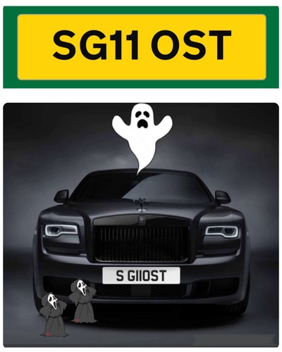 Sg11 ost dvla reg number - number, plate