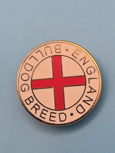 Pin badge enamel england - |,
