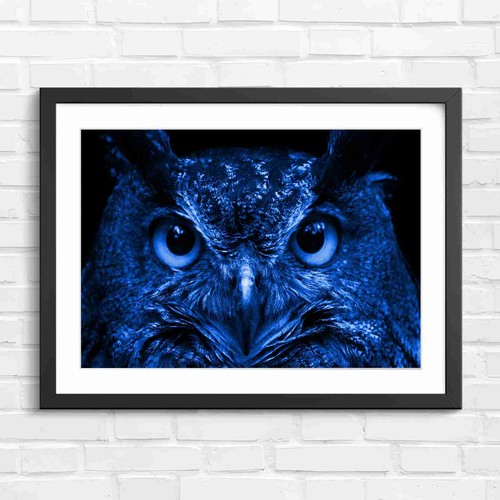 Intense orange owl - orange,