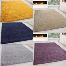 Extra Large Thick Shaggy Rug