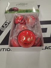 Dukes County International A Pink Leather Cricket Ball Size Mens  - Free P&P