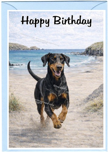 Dobermann dog happy birthday - dobermann,