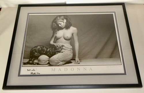Madonna hugo the cat - madonna,