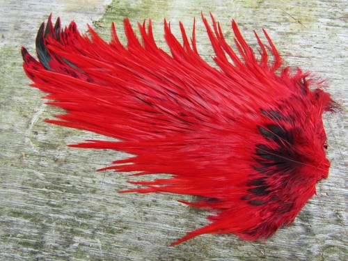 Irish fly supplies domestic - fly,