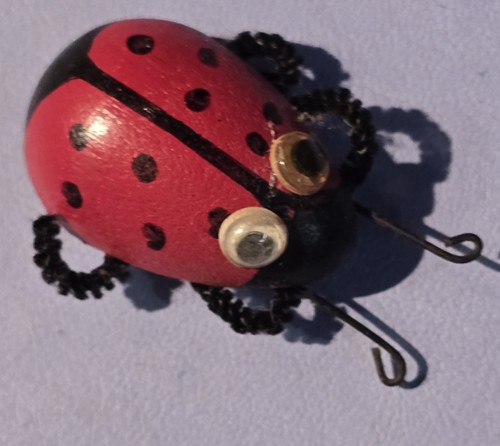 Wooden lady bug wild west - 2",