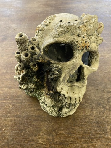 Realistic skull aquarium - skull,