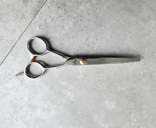 Wings hairdressing scissors - wings,
