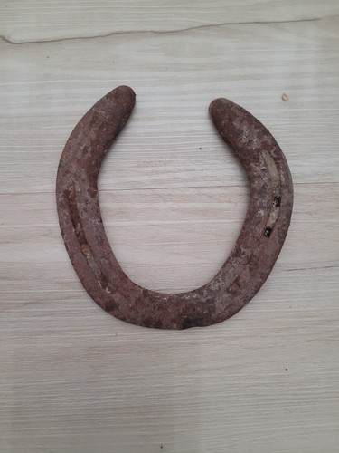Lucky old horseshoe rusty - lucky,
