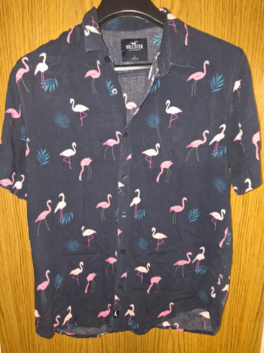 Hollister california regular - hollister,