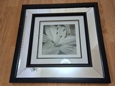 NEXT Glass Mirror lily flower Black Frame Wall Picture  Hanging Hooks 15 Inch