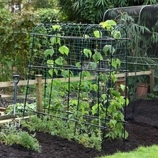 Garden Gear Pea Tunnel Arch