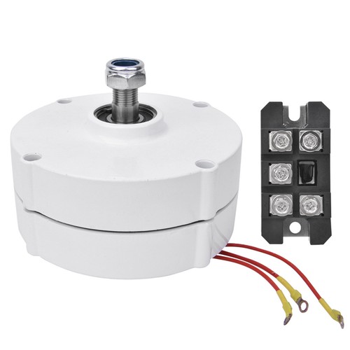 12v 100w wind permanent magnet - 12v,