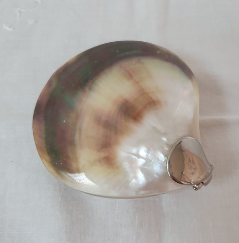 Vintage shell and chrome - vintage,