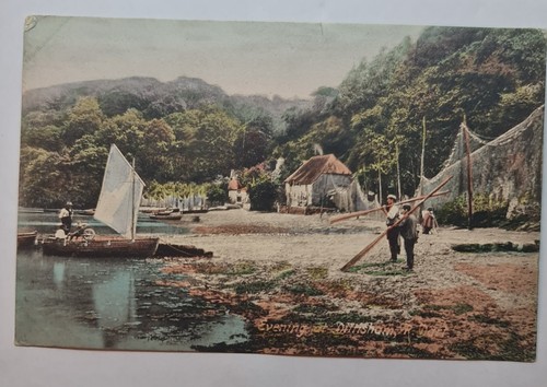 Evening dittisham river - dittisham,