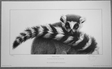 Gary Hodges Signed Limited