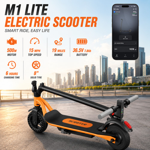 2026 new adult electric - new,