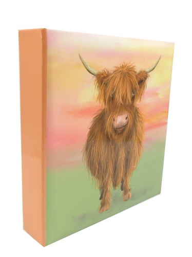 Slip photo album 6x4 - in,