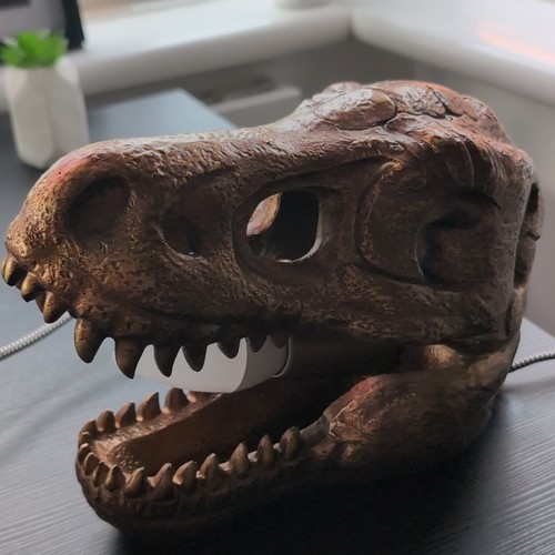 Brown dinosaur skull - brown,