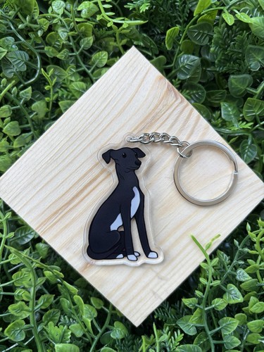 Black and white lurcher - black,