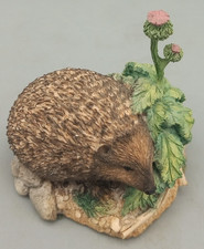 Border fine arts Prickly encounter hedgehog figurine B1178 2009 VGC Height 5cm